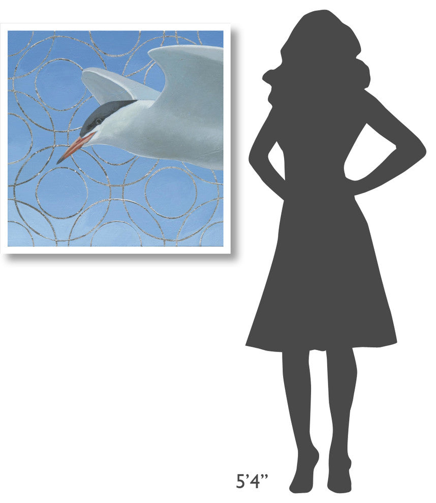 "Common Tern" Digital Paper Print by Kathrine Lovell, 32"x32"