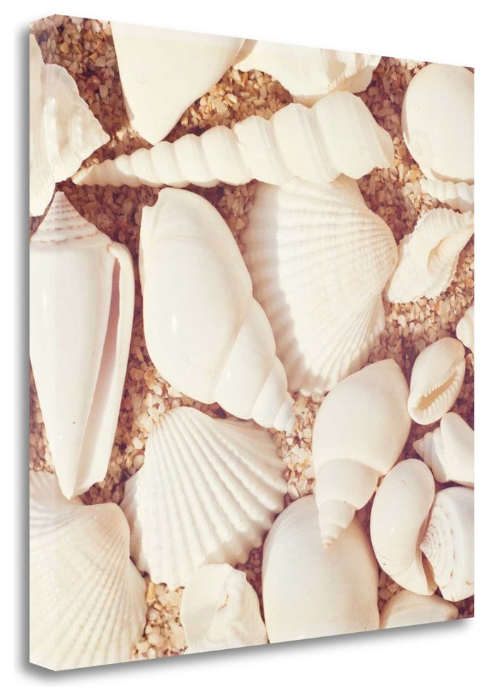 "Beachcomber" By Carolyn Cochrane, Giclee Print on Gallery Wrap Canvas