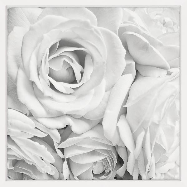 "Soft White Petals" Framed Painting Print, 12"x12"