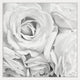 "Soft White Petals" Framed Painting Print, 12"x12"