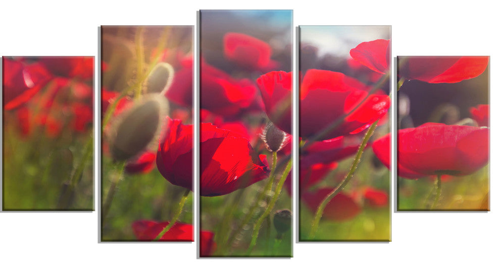 Thick Red Poppy Flowers, Floral Canvas Art Print, 60"x32", 5 Panels