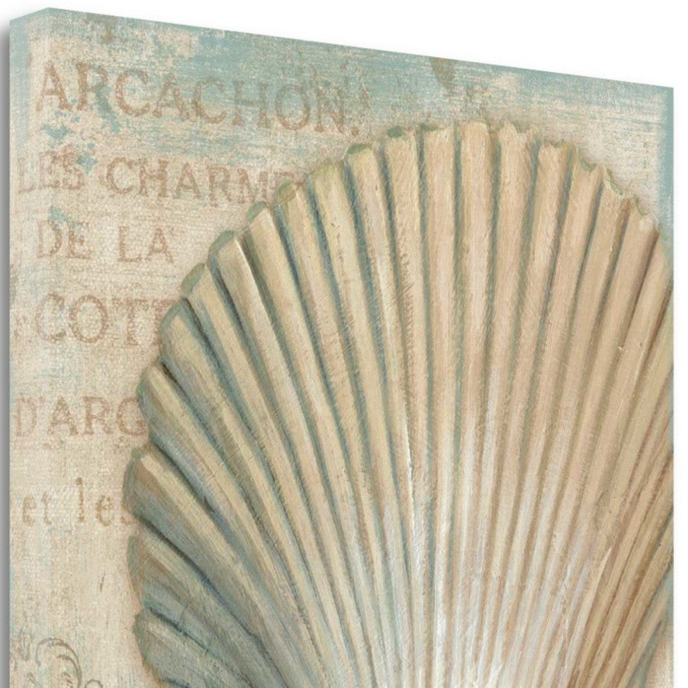 Rustic French Seashell 4 Giclee Wrap Canvas Wall Art