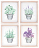 Framed Watercolor Herb Print, 4-Piece Set