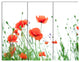 Poppy Flowers on White Background, Floral Triptych Canvas Print, 36x28, 3 Panels