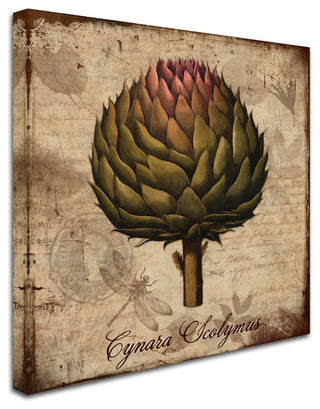 Tina Lavoie 'Cynara Scolymus' Canvas Art, 35" x 35"