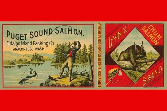 Puget Sound Salmon Can Label - Framed Paper Poster 20" x 30"