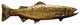 New Long Trout Right Face Cabinet Pull, Antique Brass