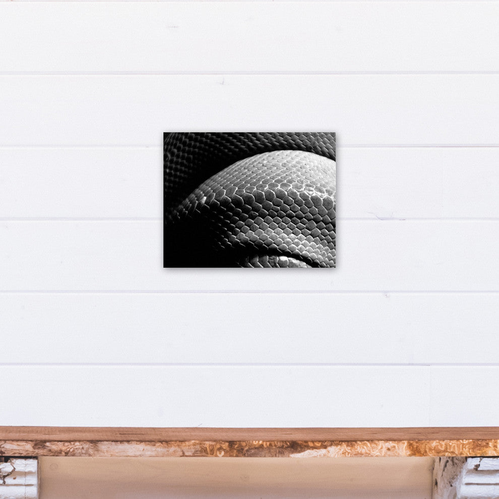Black and White Snake Skin Texture Print on Canvas