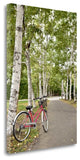 "Japan Bicycle - 20" By Alan Blaustein, Giclee Print on Gallery Wrap Canvas