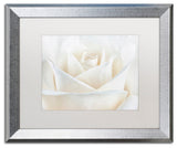 Cora Niele 'Pure White Rose' Matted Framed Art