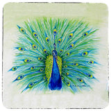 Peacock Coaster - 3 Sets of 4 (12 Total)