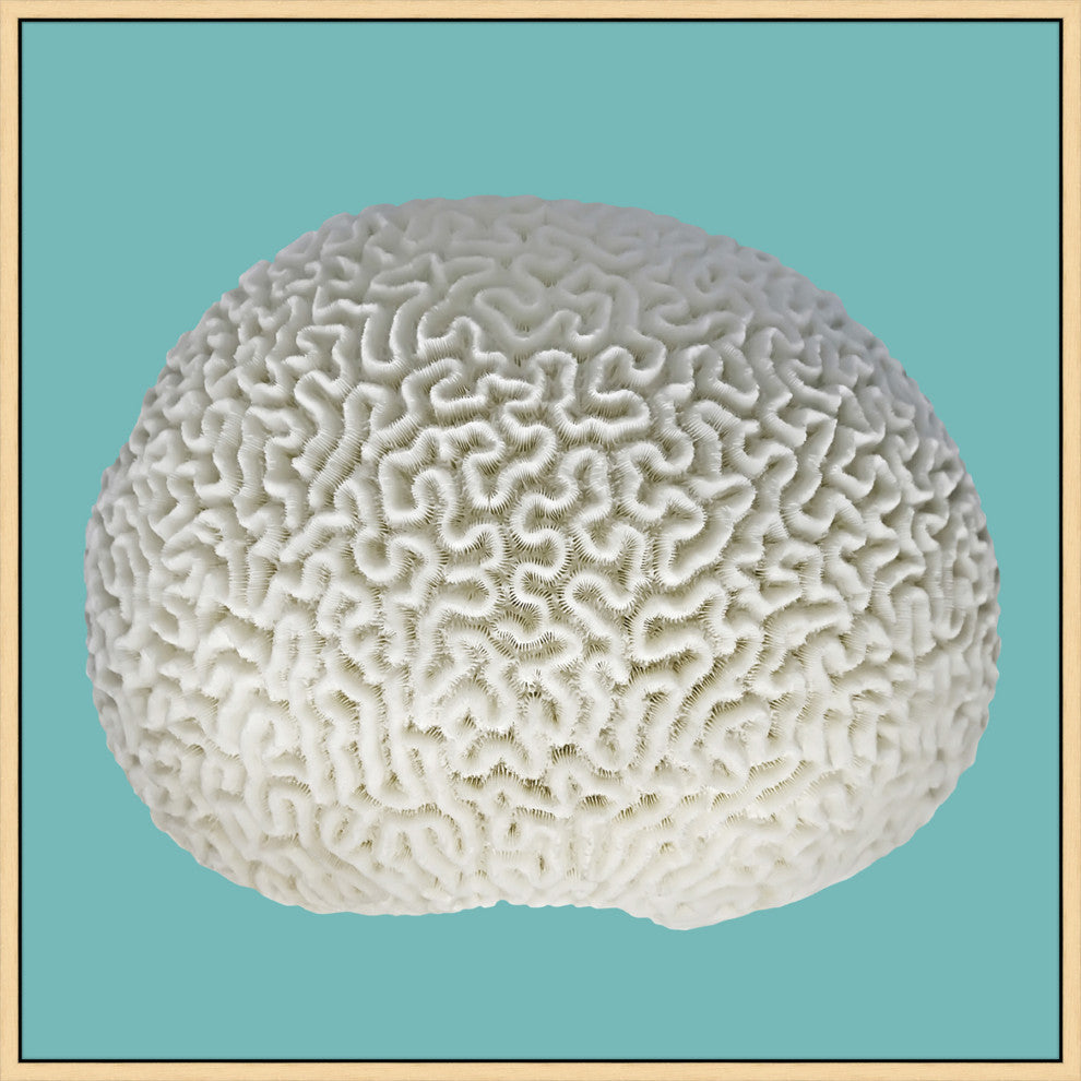 Coral On Aqua 1, Giclee Reproduction Artwork