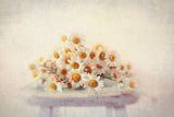 White Daisies Print on Canvas, 114x76 cm