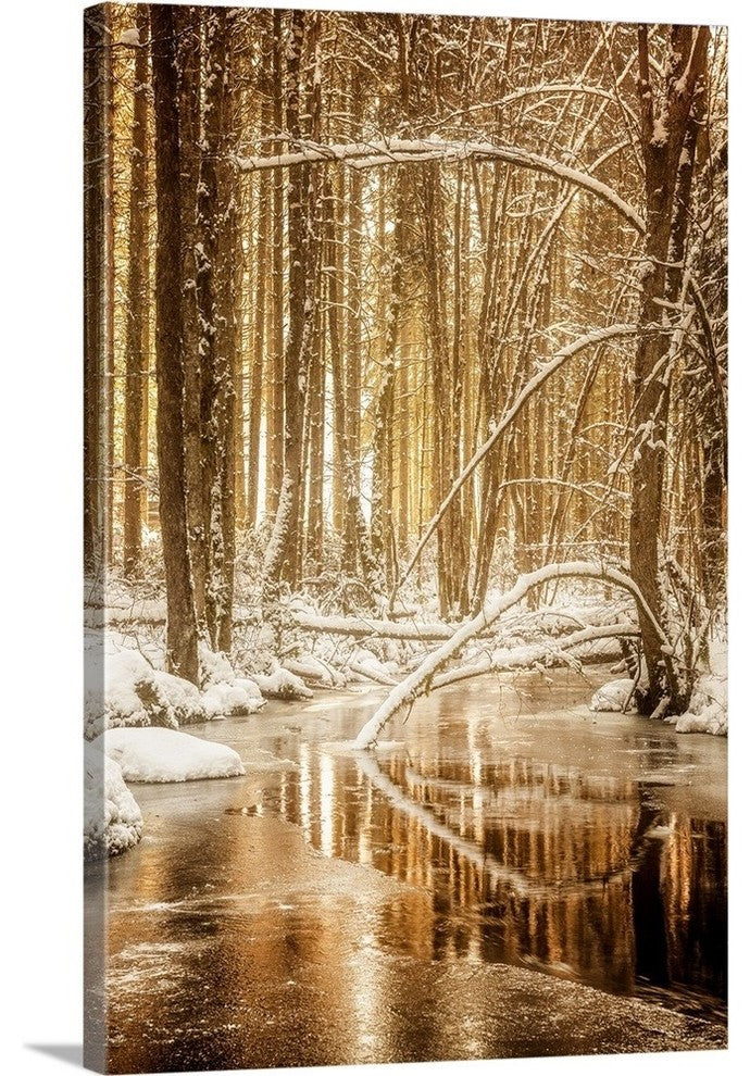 "Heart of Gold" Wrapped Canvas Art Print, 32"x48"x1.5"
