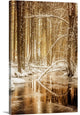 "Heart of Gold" Wrapped Canvas Art Print, 32"x48"x1.5"