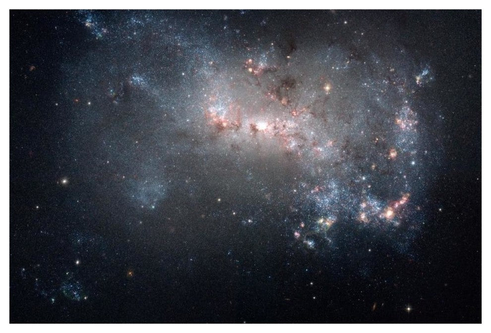 "Stellar Fireworks Ablaze in Galaxy NGC 4449" Print by NASA, 62"x42"