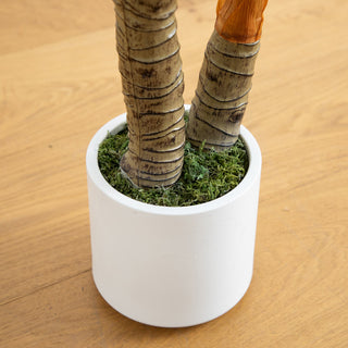 Artificial Arrowhead Philodendron, White Decorative Planter, 5.5 Ft.