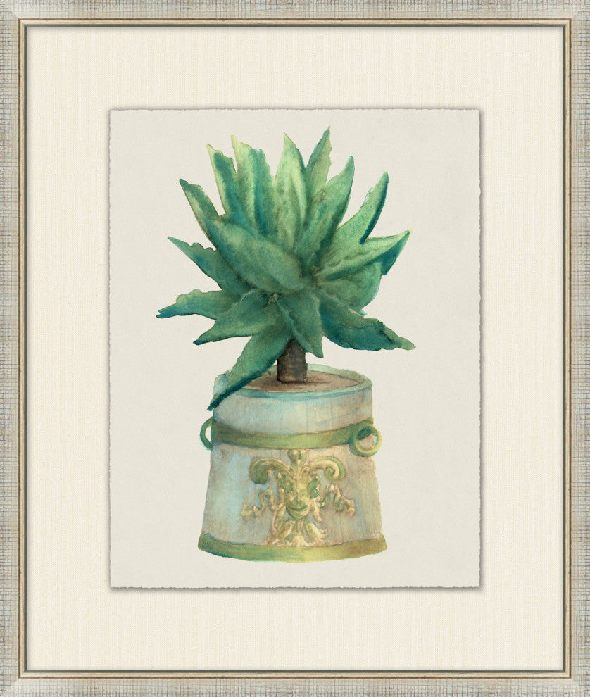 Aloe Pot 3, Giclee Reproduction Artwork