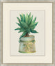 Aloe Pot 3, Giclee Reproduction Artwork