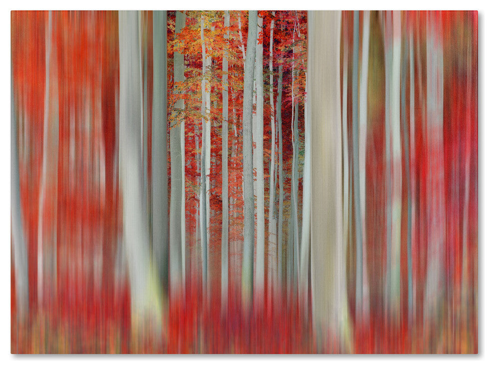 'We Rolled Together' Canvas Art by Philippe Sainte-Laudy