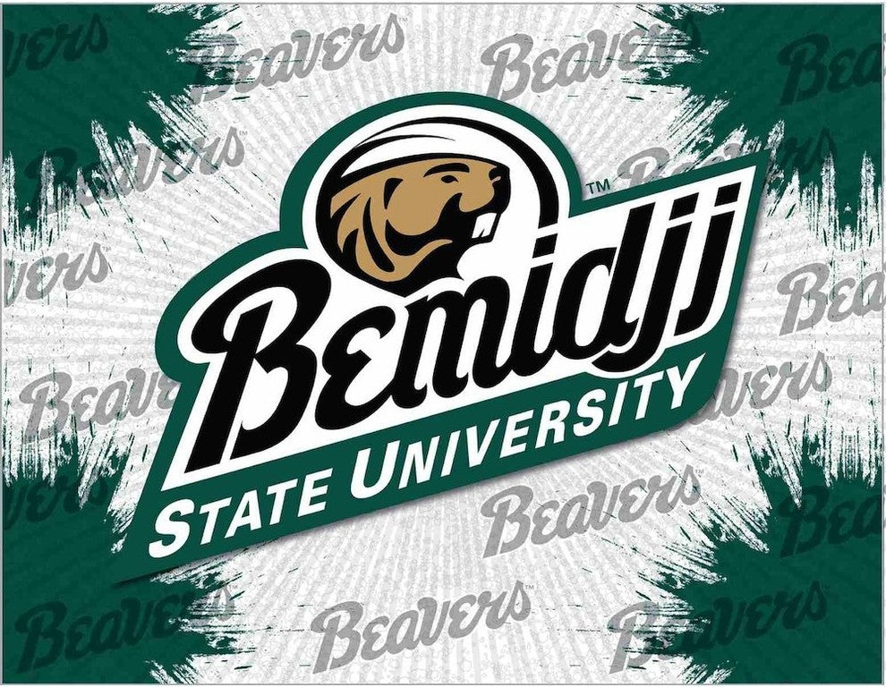 Bmidji State Logo Canvas