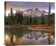 "Castle Mountain And Boreal Forest, Banff National Park, Alberta" Artwork