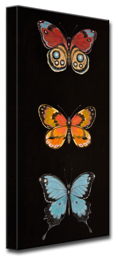 Canvas Art ''Butterfly Trio II'' by Hope Hansen, 24"x12"