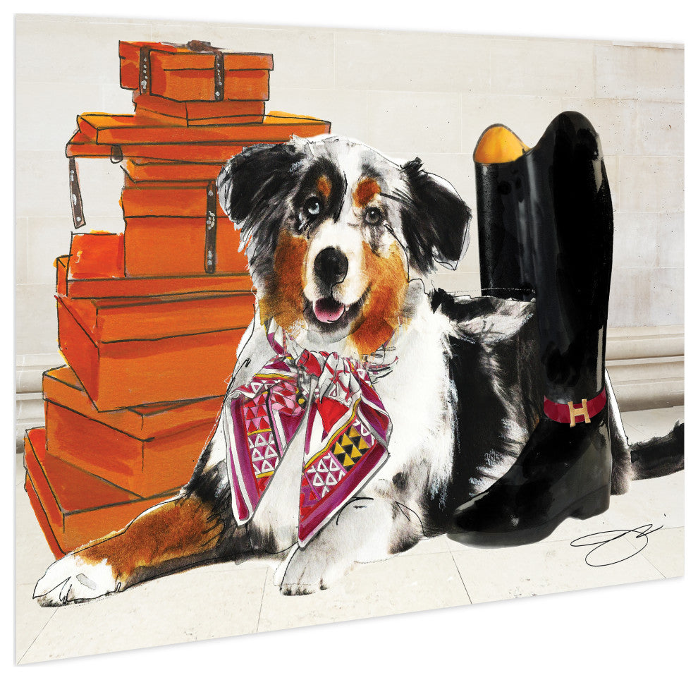 "Border Collie" Dog Wall Art Print Frameless Free Floating Tempered Glass Panel