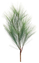 Long Needle Pine Spray, Set of 6