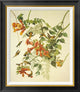 "Ruby-Throated Hummingbird" Framed Canvas Giclee by John James Audubon, 25x28"