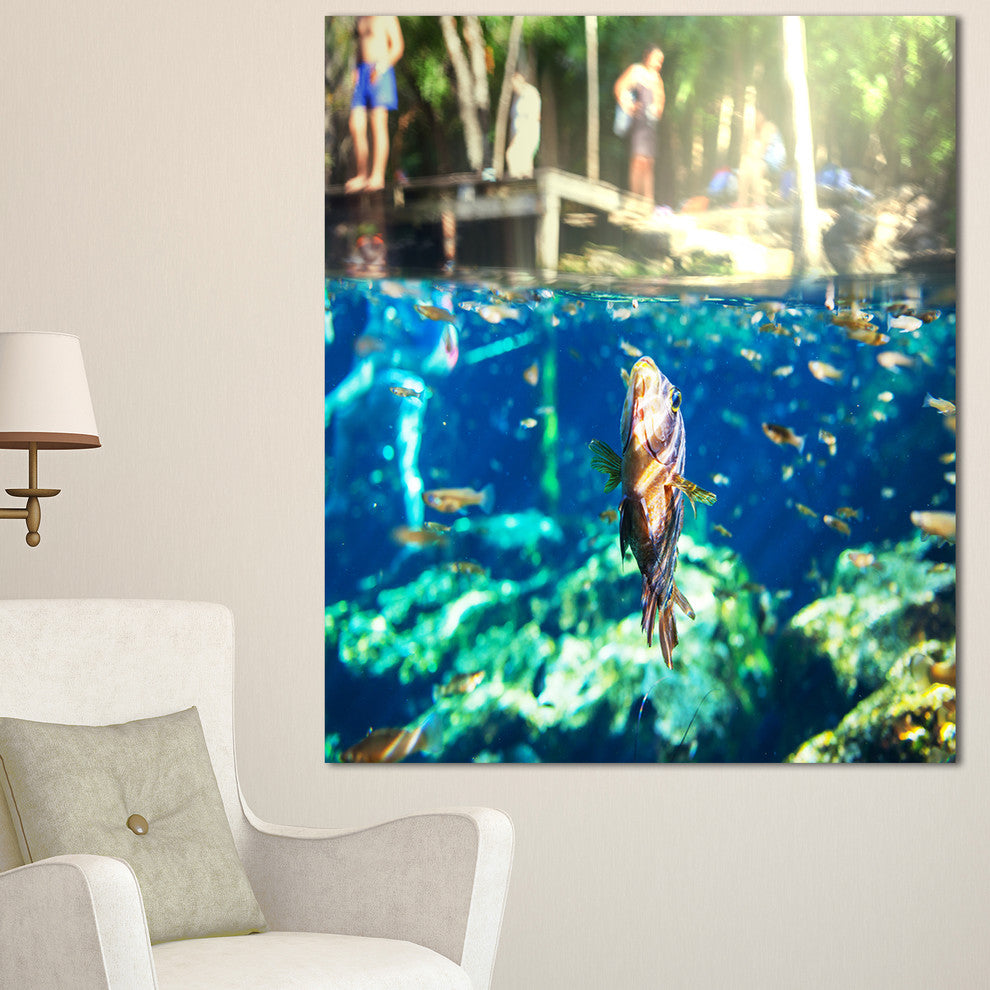 Large Fish in Ik Kil Cenote Mexico, Landscape Wall Art on Canvas, 30"x40"