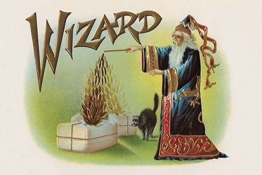 Wizard - Gallery Wrapped Canvas Art 28" x 42"