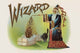 Wizard - Gallery Wrapped Canvas Art 28" x 42"