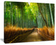"Arashiyama Bamboo Grove Japan" Oversized Forest Wall Art, 20"x12"