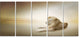 Relaxing King of Animals, Animal Canvas Wall Art, 60"x28", 5 Panels