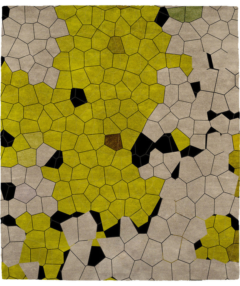 Homogeny J Signature Rug, 8'x10'