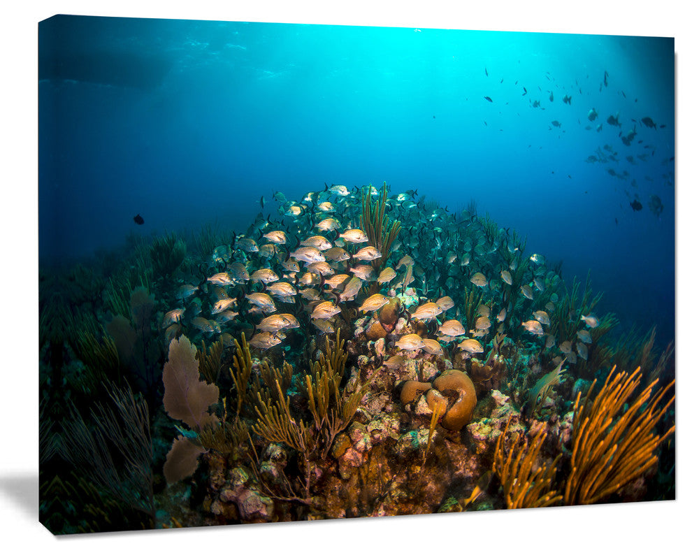 School of Grunts Swimming in Water, Large Landscape Canvas Art, 60"x28"