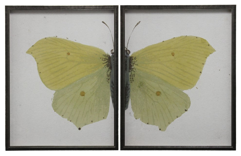 Split Yellow Butterfly, Pewter Shadowbox, Left