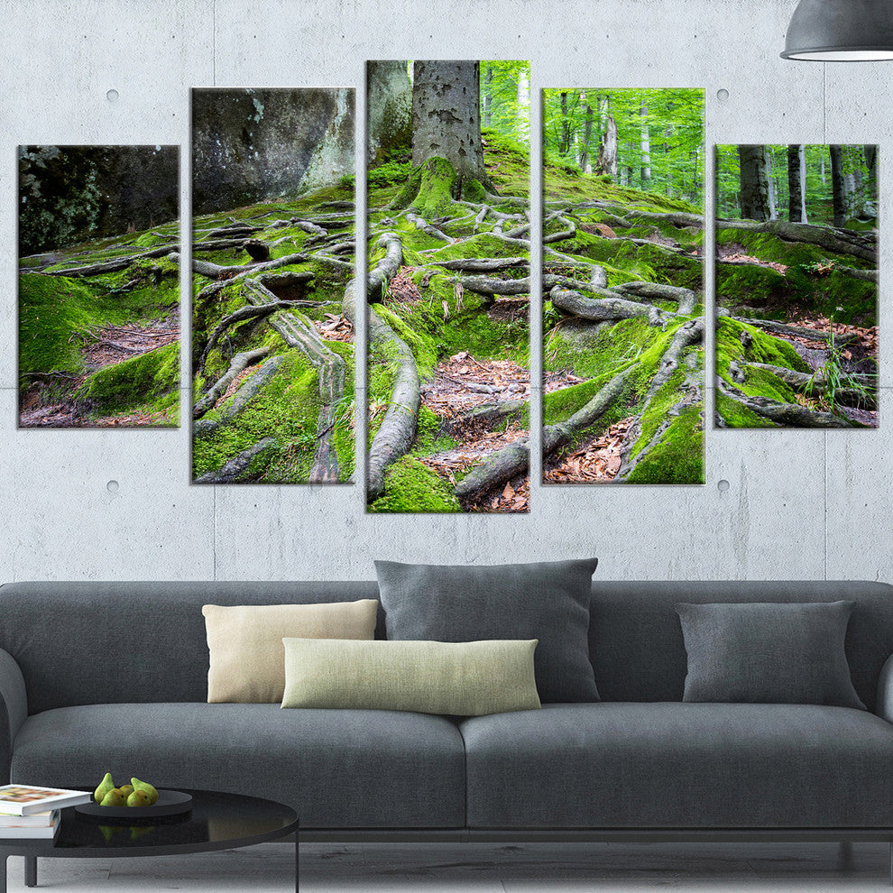 "Deep Moss Forest in Ukraine" Landscape Art Print Canvas, 5 Panels, 60"x32"
