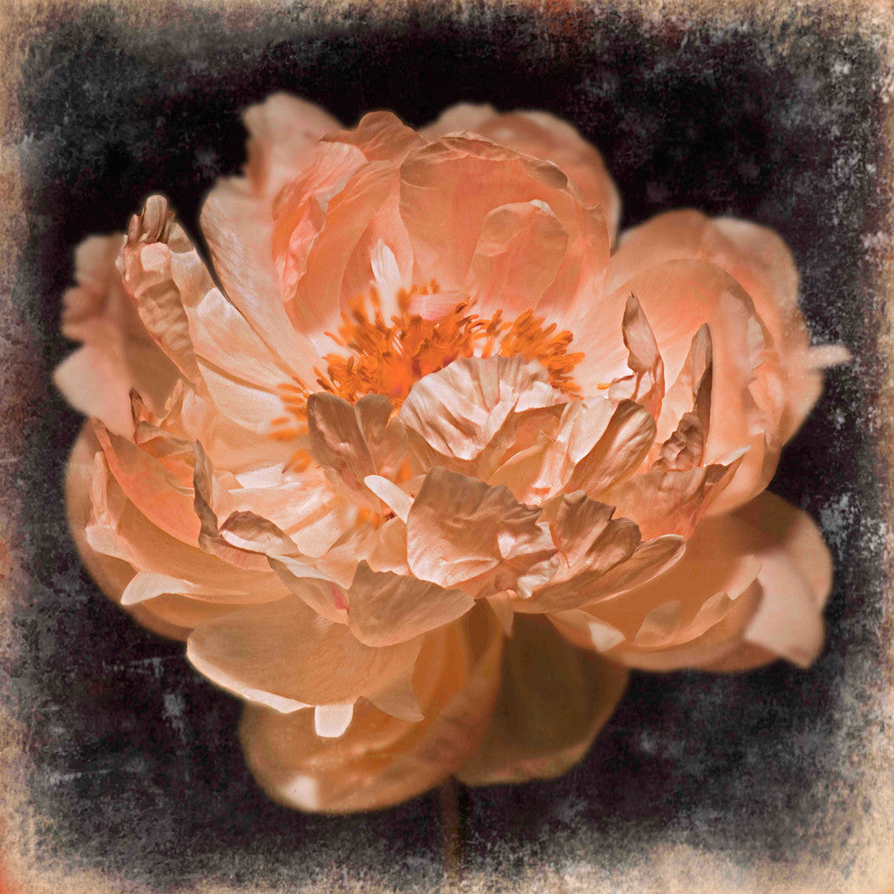 "Peony s Rhythm" Painting Print on Canvas by Aryai