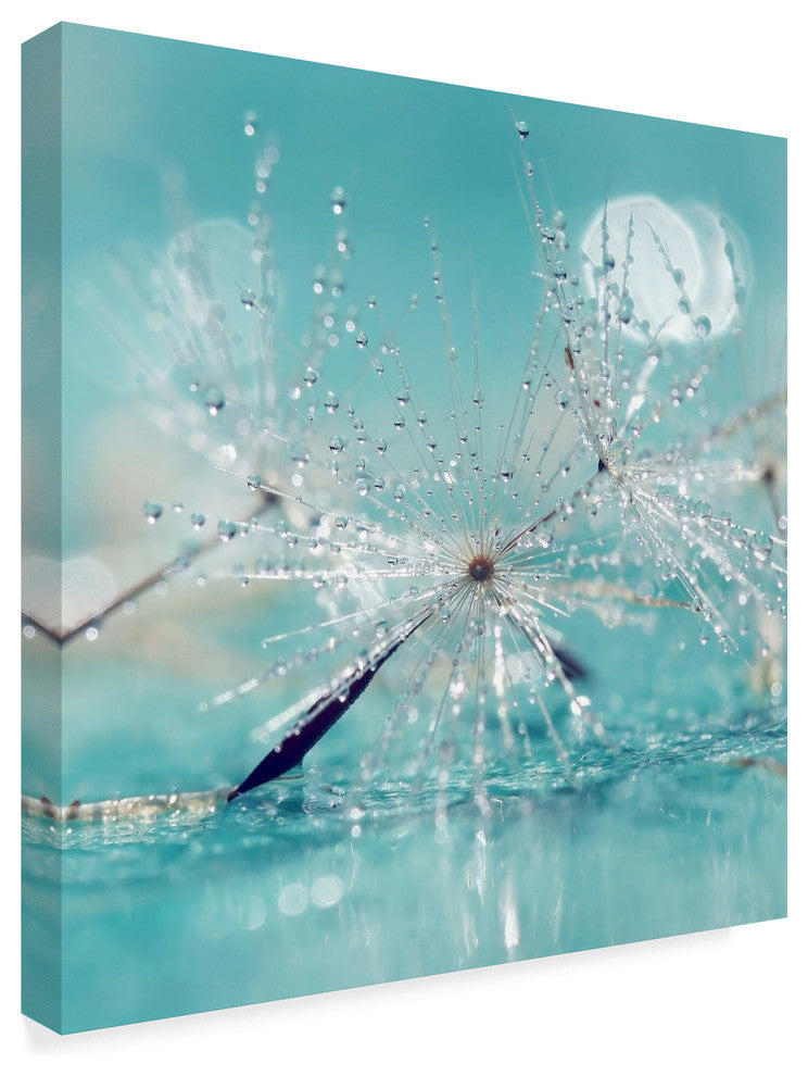 Incredi ''Catching Dreams'' Canvas Art, 24"x24"