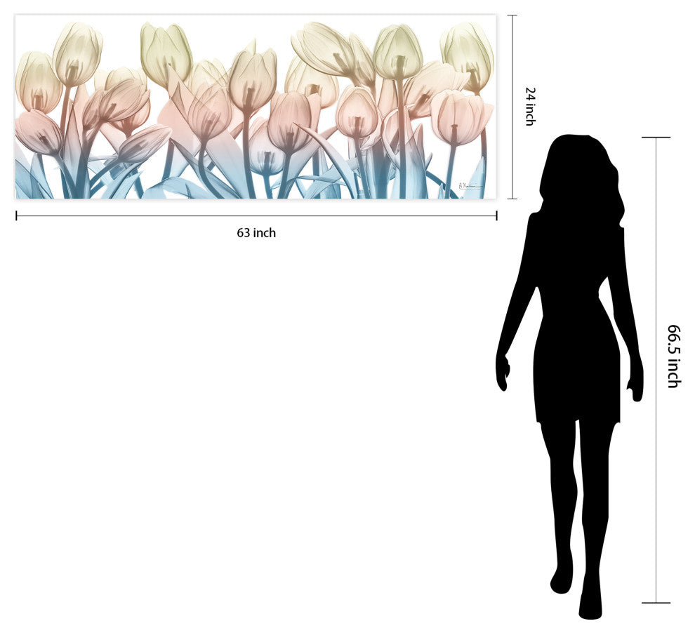 "Spring Blooms" Frameless Free Floating Panel Graphic Wall Art, 24"x63"