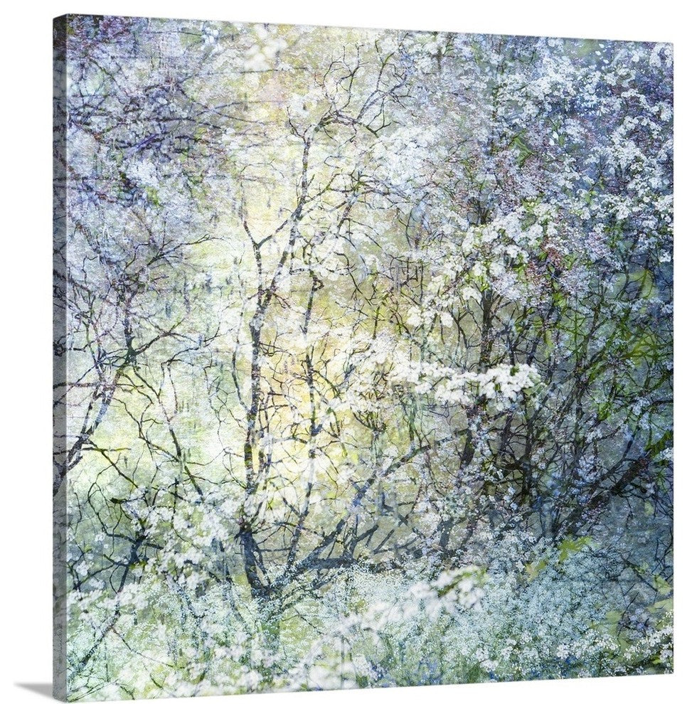 "Floral Froth II" Wrapped Canvas Art Print, 16"x16"x1.5"