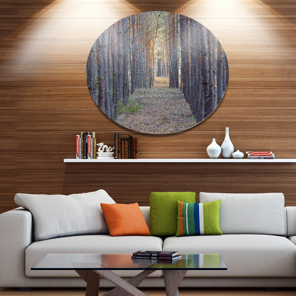 Slender Pine Tree Forest Photography, Forest Disc Metal Wall Art, 23"