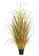 36" Mixed Brown Grass In Pot