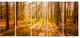 Bright Sunlight in Yellow Fall Forest, Forest Canvas Art, 60"x28", 5 Panels