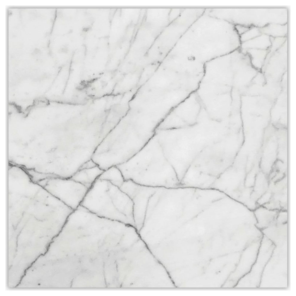 White Carrara Polished 24x24 Marble Tile