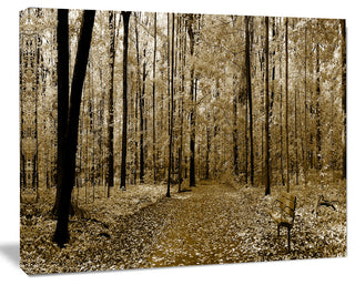 Wooded Forest Panoramic View, Modern Forest Canvas Art, 40"x30"