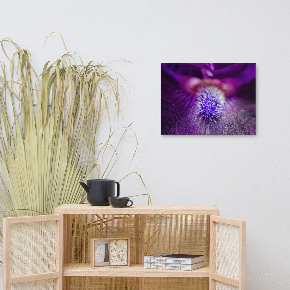 Eye of Iris Floral Nature Photography Canvas Wall Art Print, 18" X 24"