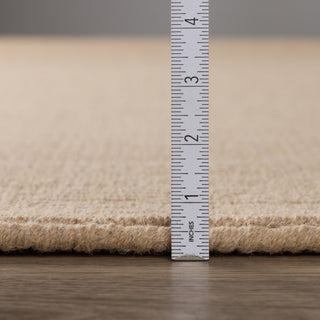 Dalyn Monaco Accent Rug
